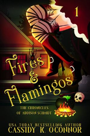 [Addison Schmidt 01] • Fires & Flamingos